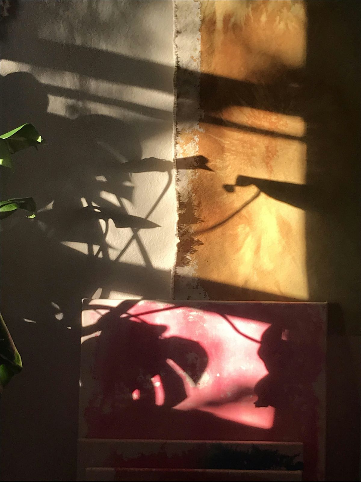 Singing with Plants, Sierra Water, Dickerson Road, Reno, NV, USA, 11