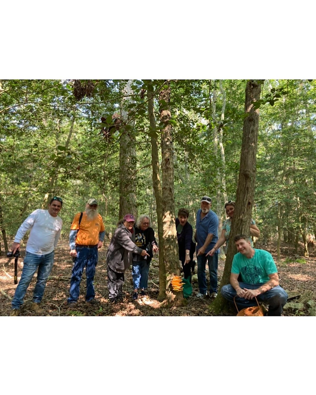Mushroom 101 and Foraging Class, Mariner's Country Down, Berlin, 12 August 2023 AllEvents.in