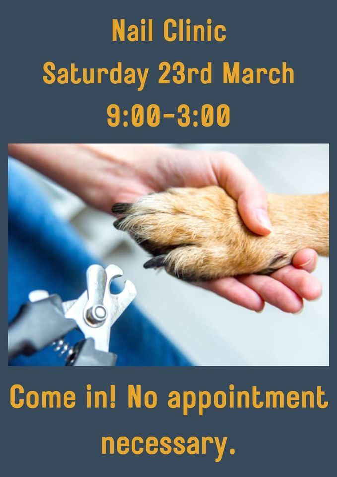 Nail Clinic , Central Bark Dog Grooming Leicester, Birstall, 23 March 2024 AllEvents.in