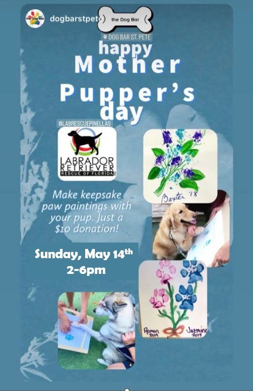 Happy Mother Puppers Day at the Dog Bar, Dog Bar St. Pete, Saint