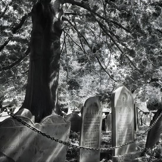 Requiem for Salem Walking Ghost Tour | Event in Salem | AllEvents