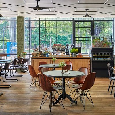 Graduate by Hilton Charlottesville logo