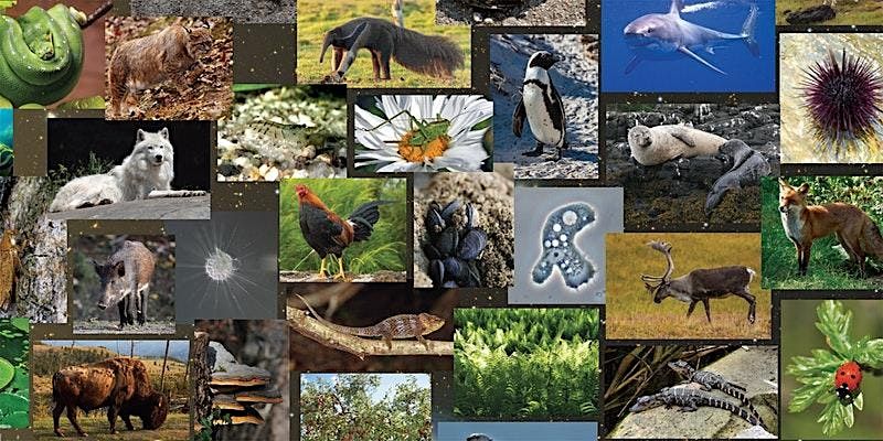 Saturday DNA! Selection Detection, Cold Spring Harbor Laboratory | DNA ...