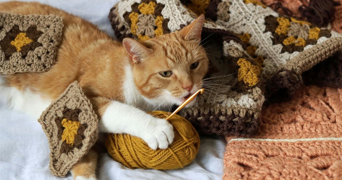 Crochet Workshop: Cat Toy, 10 January | Event in Atlanta | AllEvents