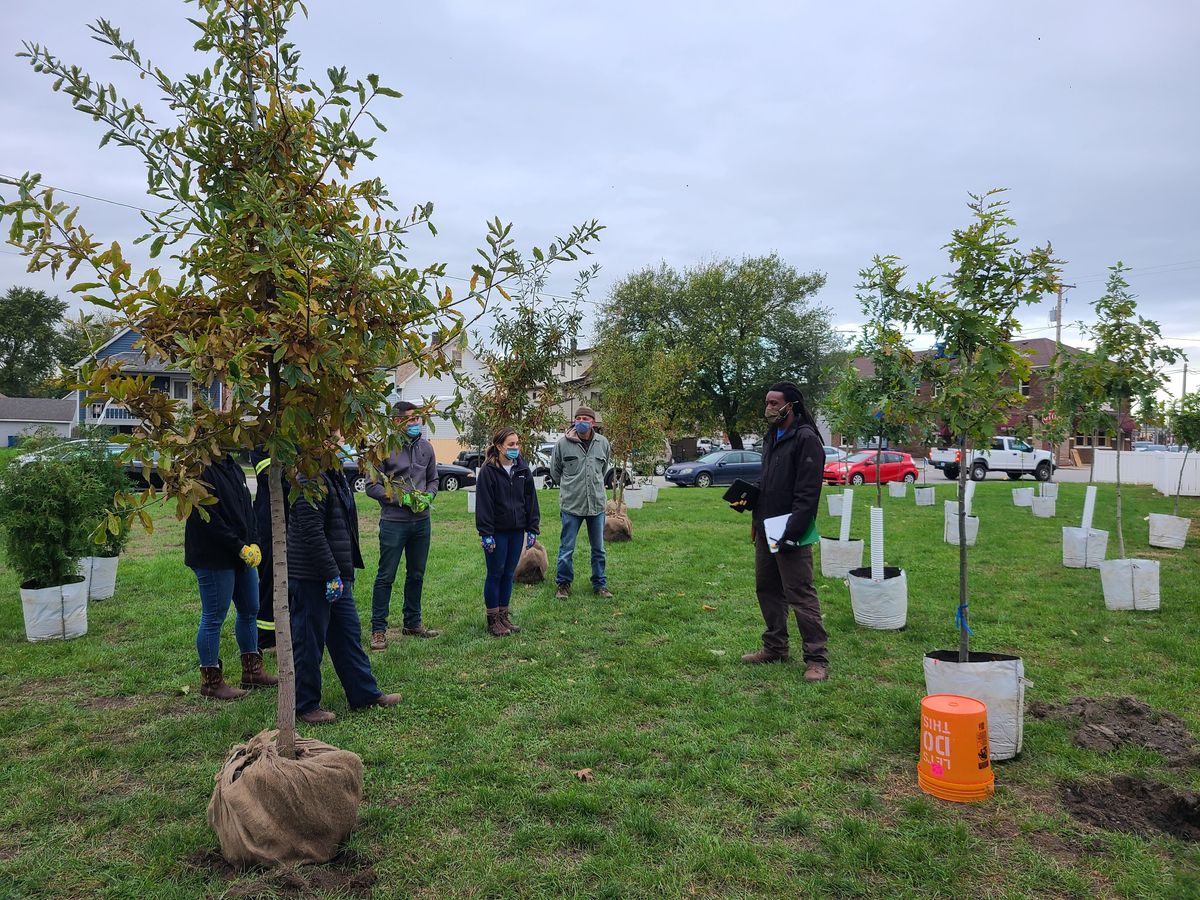 Hobart Bike Path Fall Tree Planting with the SCA, Hobart City Ball Park