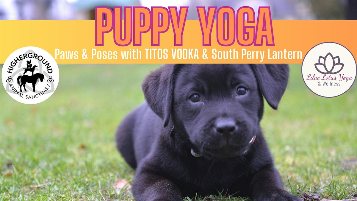 Puppy Yoga @ The Lantern 21+, 7 June | Event in Spokane | AllEvents