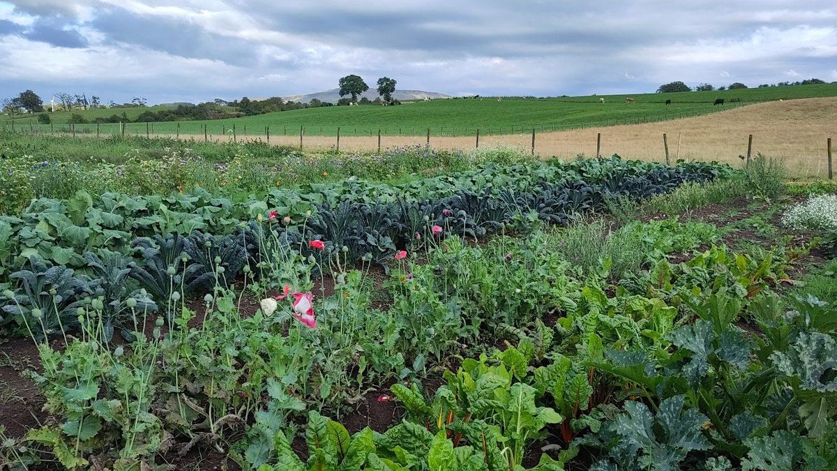 Stirling Food Partnership Visit to Upper Ballaird Farm, Upper Ballaird
