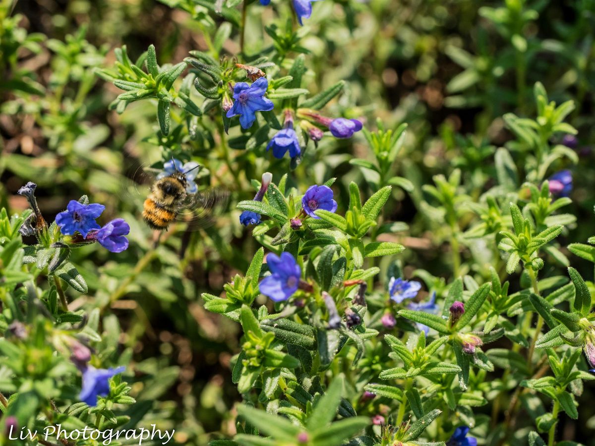 Exploring and Explaining the Exposure Triangle, London Drugs Nanaimo North Town Centre, 5 May