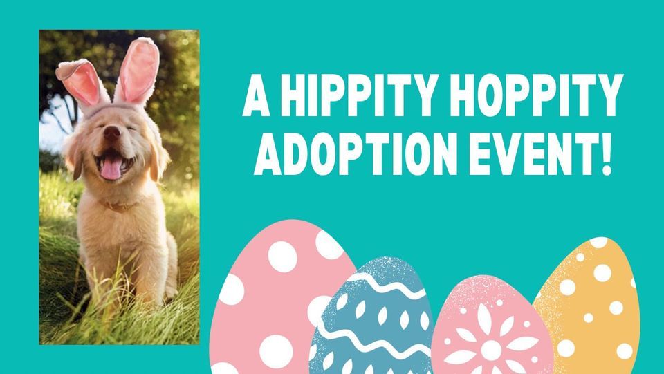 A Hippity Hoppity Adoption Event at My Pet Store & More, My Pet Store