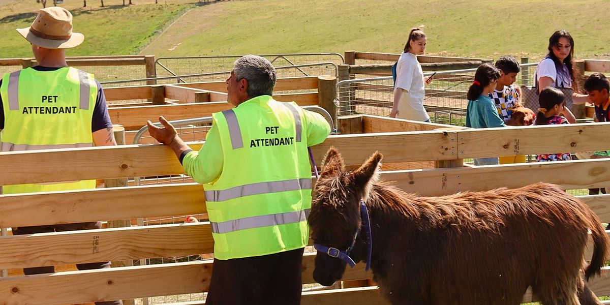 Marnong Estate Petting Zoo Sunday October 29, Marnong Estate Winery