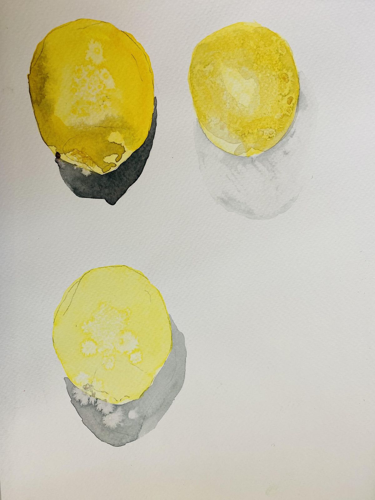 Watercolour Workshop Beginners Introduction To Watercolour Painting