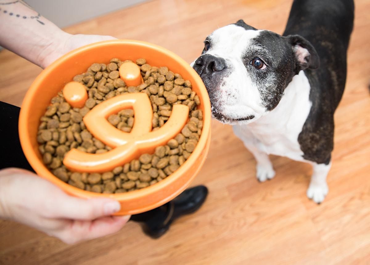 Best Friends Animal Society dog food giveaway, Best Friends Pet