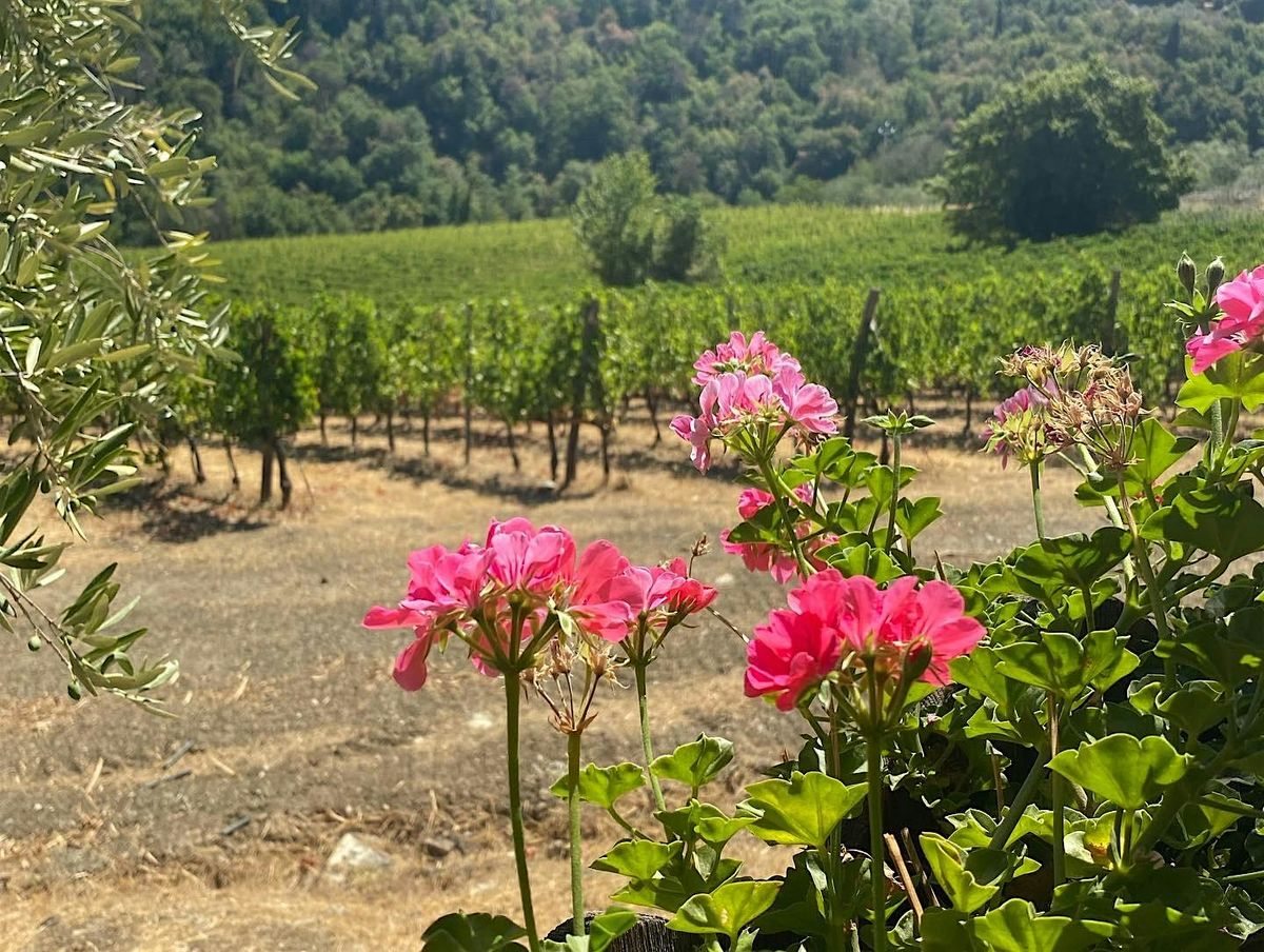 Tuscan Wine Tasting with Vignano in Chianti, Cellar Door Wines, St Albans, 19 September 2024