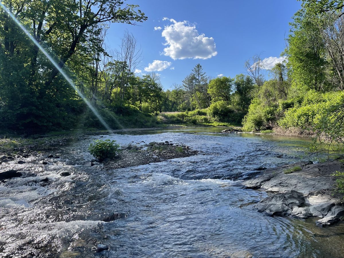 Thetford Trails Walk & Talk Union Village Dam (Buzzle Bridge Rd