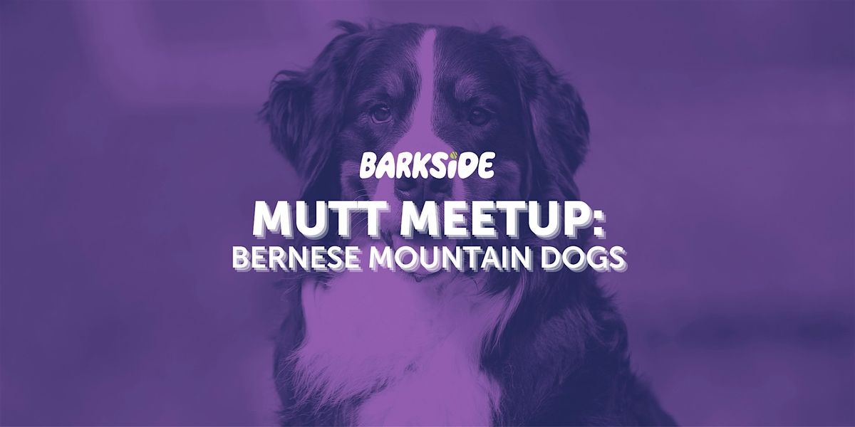 Mutt Meetup: Bernese Mountain Dogs, 14 December | Event in Detroit | AllEvents