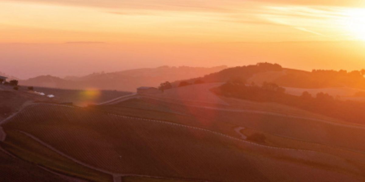 DAOU Vineyards Wine Tasting and Dinner, Clementine's Stable Cafe