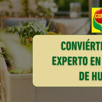 COMPO Garden Tour - Taller iniciación al huerto - GUAL HOME & GARDEN ...