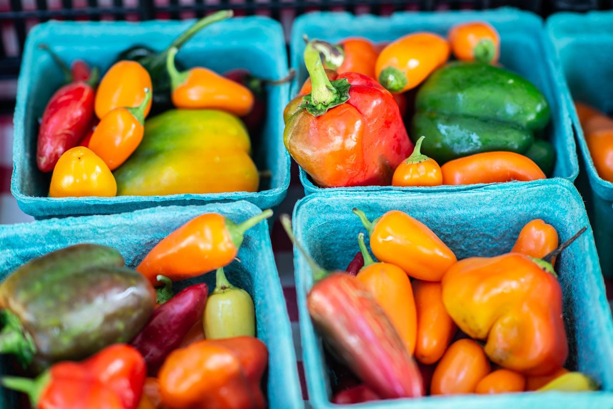 Volunteer at the Nationals Park Bridge Park Plot Thursdays 2023