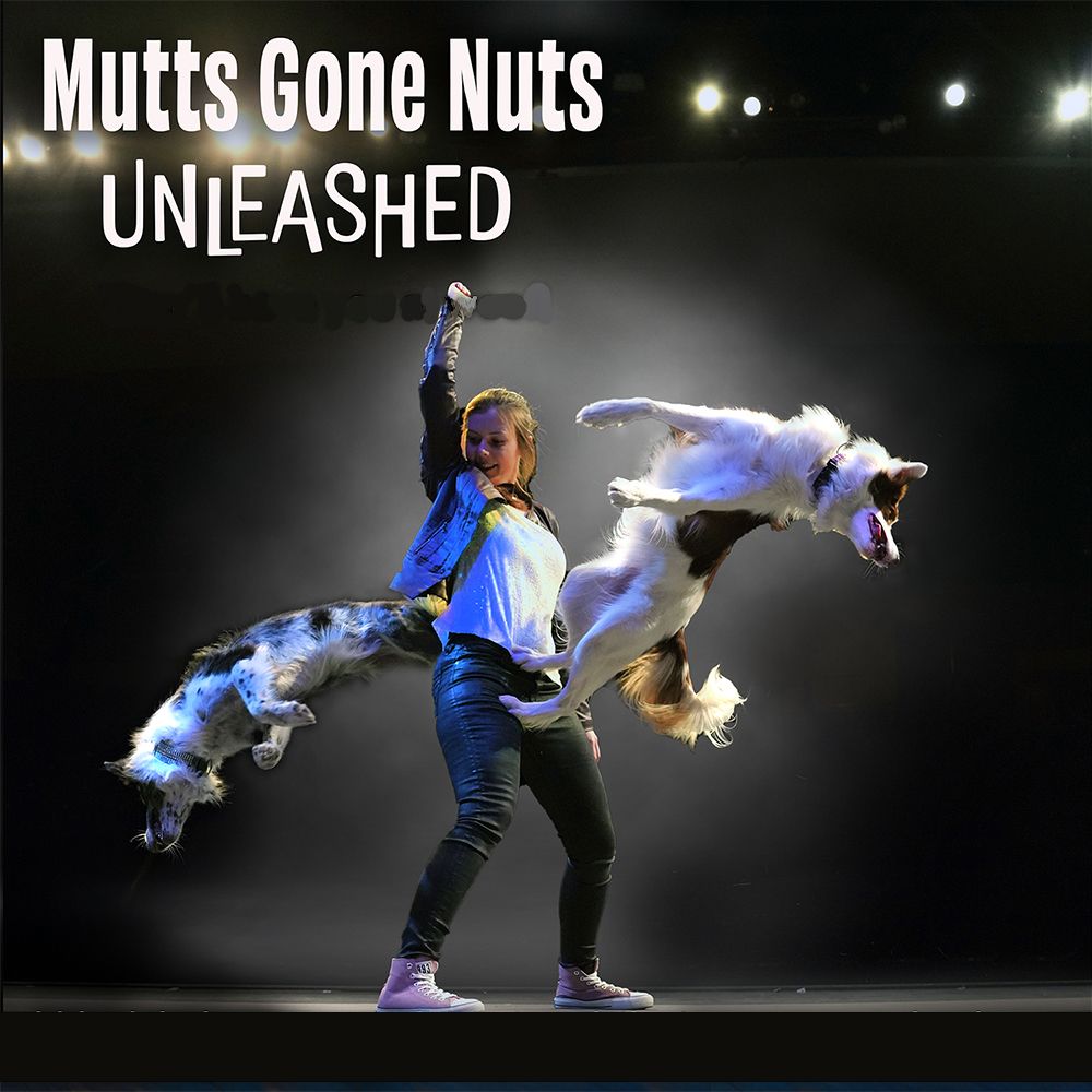 Mutts Gone Nuts, 21 March | Event in Walhalla | AllEvents