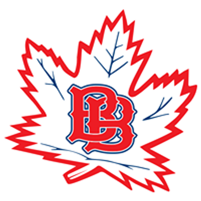 Oshawa Lady B's Fastpitch