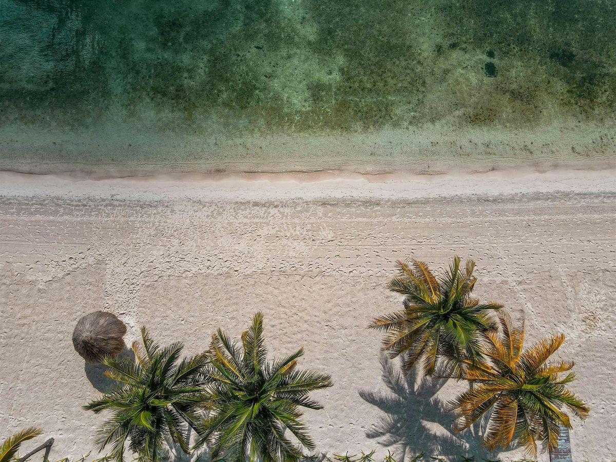Three Day Mini Vacation in Baja California Mexico | Event in San Diego | AllEvents