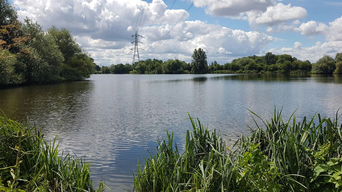 Discover Walthamstow Wetlands Guided Walk, Walthamstow Wetlands, London
