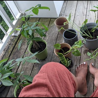 Black Girls Plant ATL, January 30 to February 25 Online