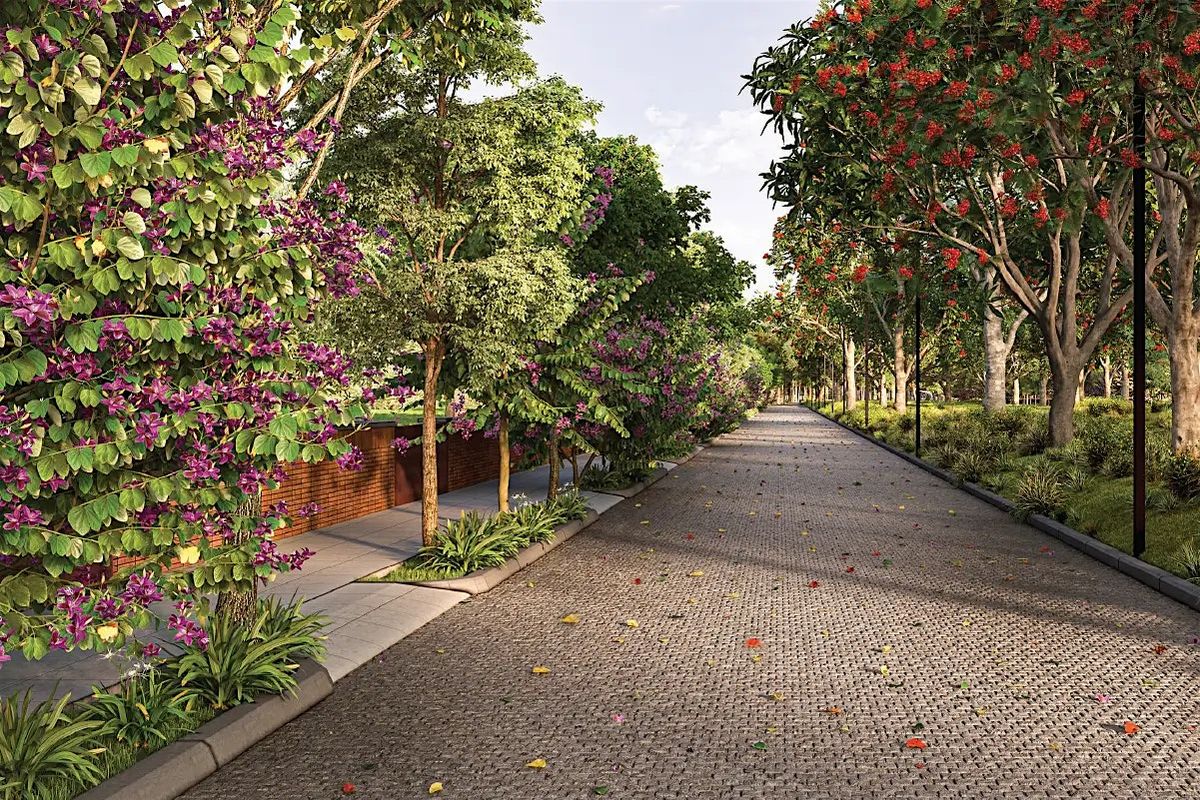Reimagining Urban Living: Total Environment’s Tangled Up in Green, 7 August | Event in Bengaluru | AllEvents
