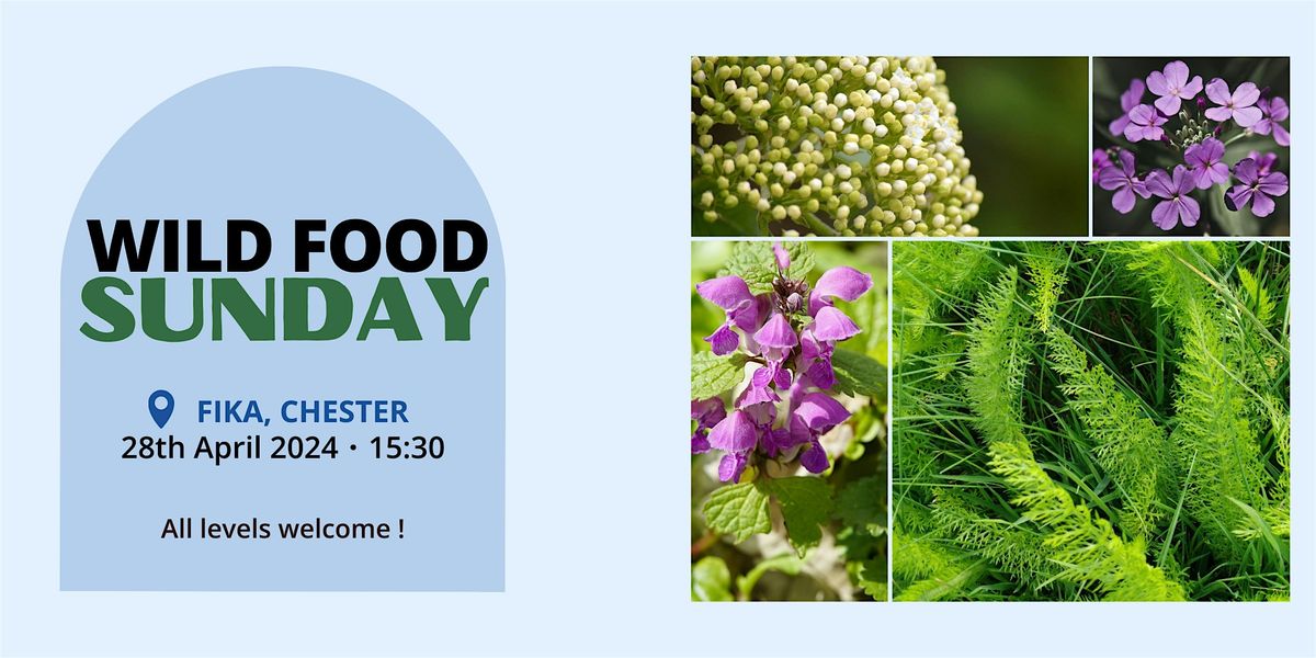 Wild Food Walk + Tasting, Fika+, Chester, 28 April 2024 | AllEvents.in