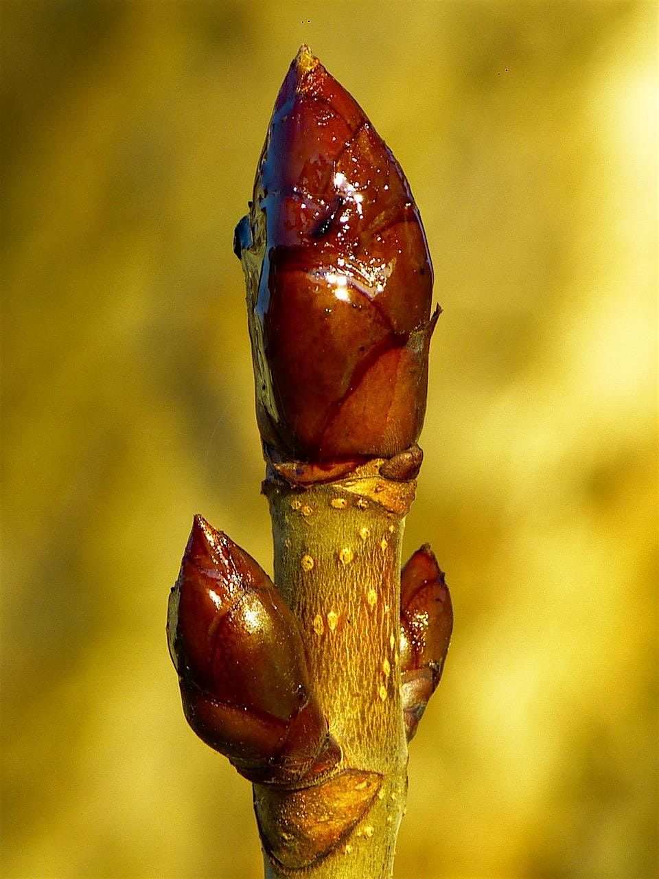 Kinross Wildlife Watch February Meeting