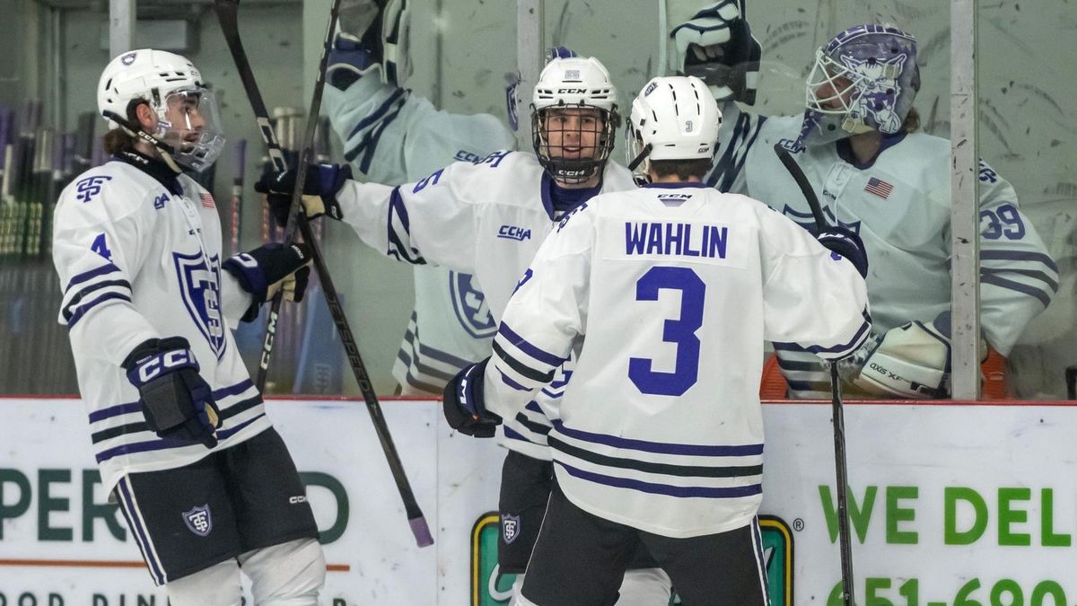 Ferris State Bulldogs at Augustana Vikings Mens Hockey, 17 January | Event in Sioux Falls | AllEvents