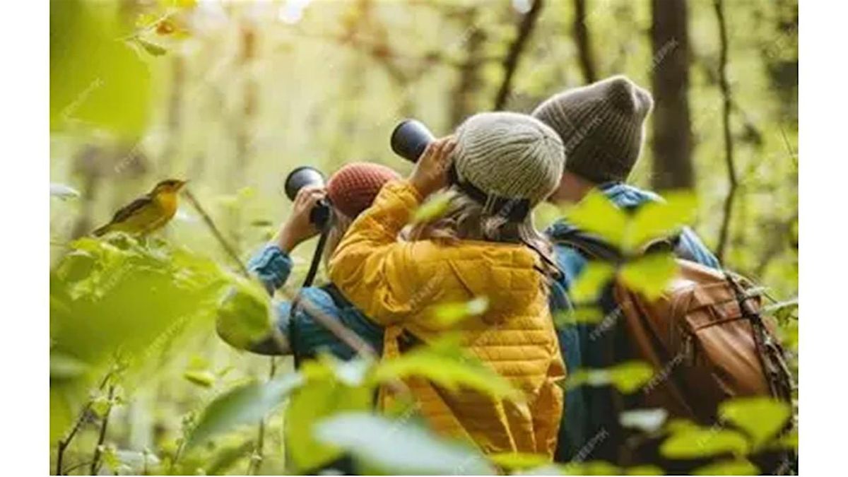 Wild Wednesday - The Wonder of Birds, 14 January | Event in Merthyr Tydfil | AllEvents