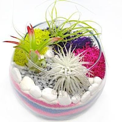 Family Plant Party Make a Succulent Terrarium
