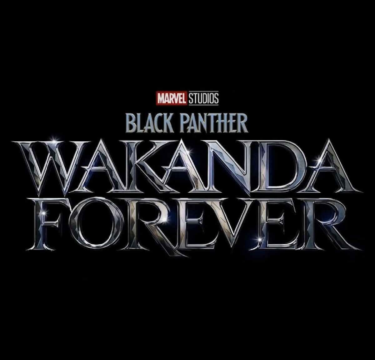 Black Panther Wakanda Forever Watch Party, Birmingham Premiere LUX