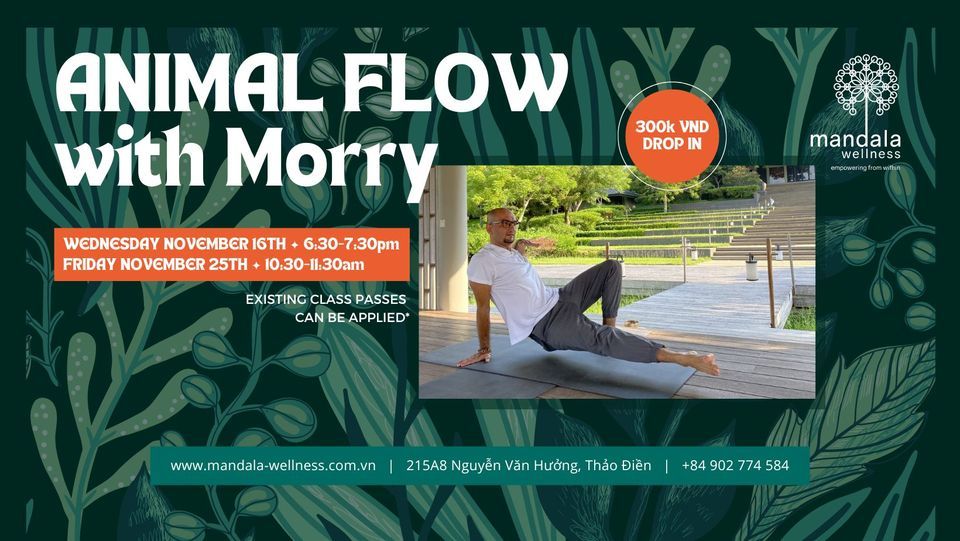 Animal Flow with Morry, Mandala Wellness, Ho Chi Minh City, November 25 2022 Animal Flow with Morry, Mandala Wellness, Ho Chi Minh City, November 25 2022