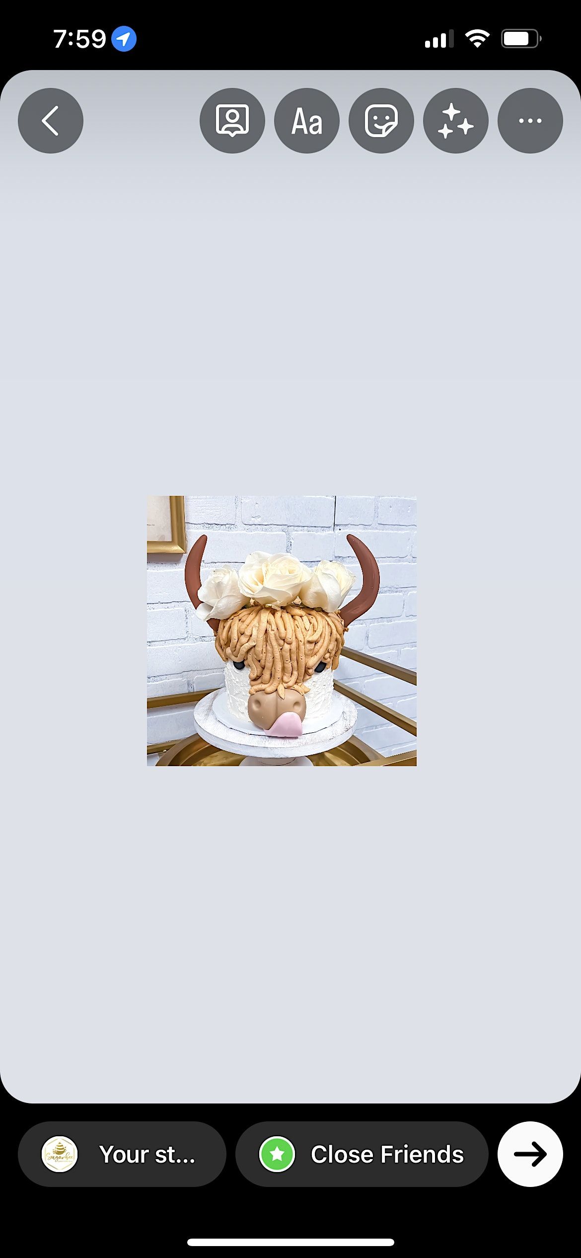 Adults highland cow cake decorating class, 721 Nevada St, Redlands