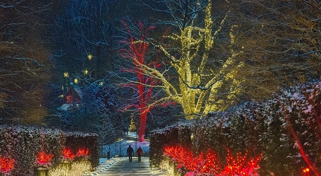 Longwood Gardens Christmas Theme 2021 Festive Florals Fire And Ice With Longwood Gardens December 9 2021 Online Event Allevents In Longwood Gardens Christmas Theme 2021 Festive Florals Fire And Ice With Longwood Gardens December 9 2021 Online Event Allevents In
