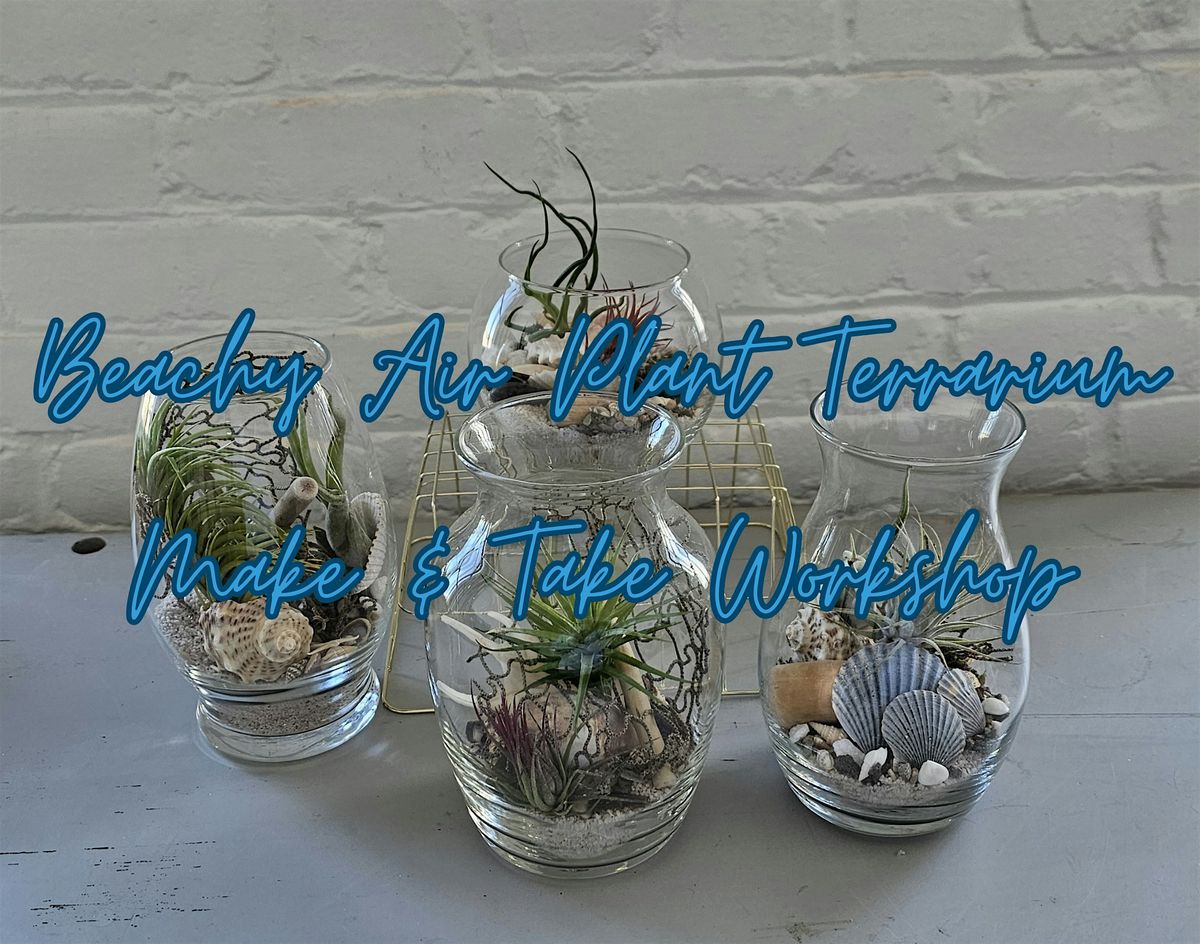 Beachy Air Plant Terrarium, Kilburn Mill at Clarks Cove, West Rodney