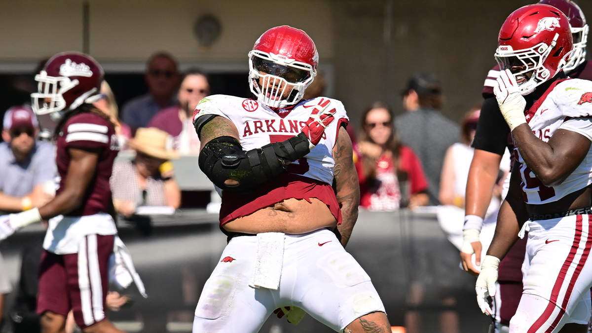 Parking Mississippi State Bulldogs at Arkansas Razorbacks Football, 1 November | Event in Fayetteville | AllEvents