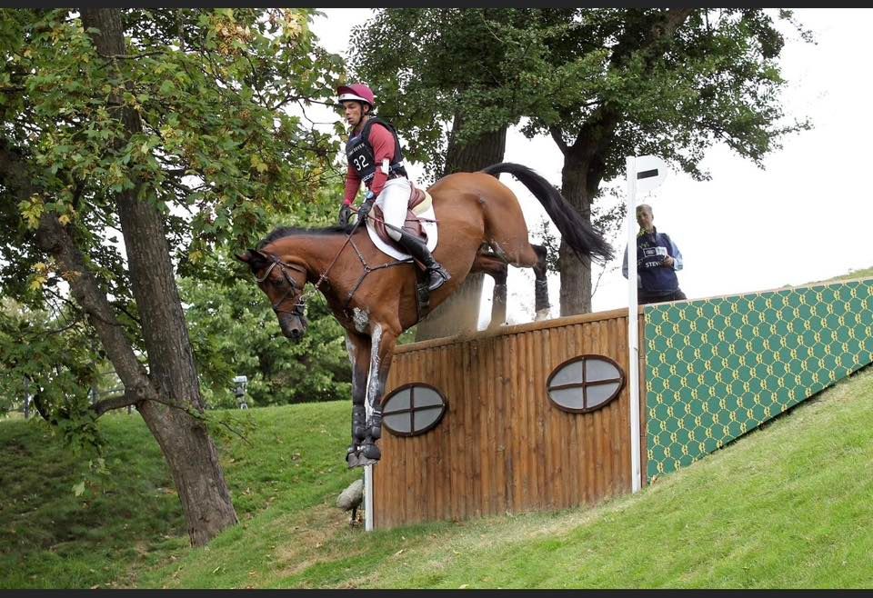 Dom Schramm Clinic Lexington KY, Clear View Equestrian Center