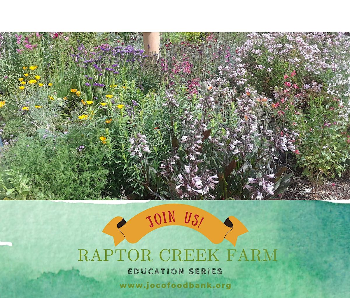 Herbs to Know and Grow, Raptor Creek Farm / Josephine County Food Bank