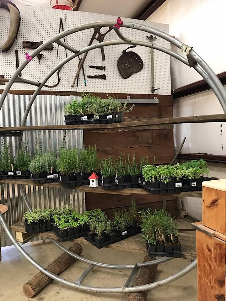 Historic Sotterley Annual Garden Guild Plant Sale!, Historic Sotterley, Hollywood, 30 April 2023