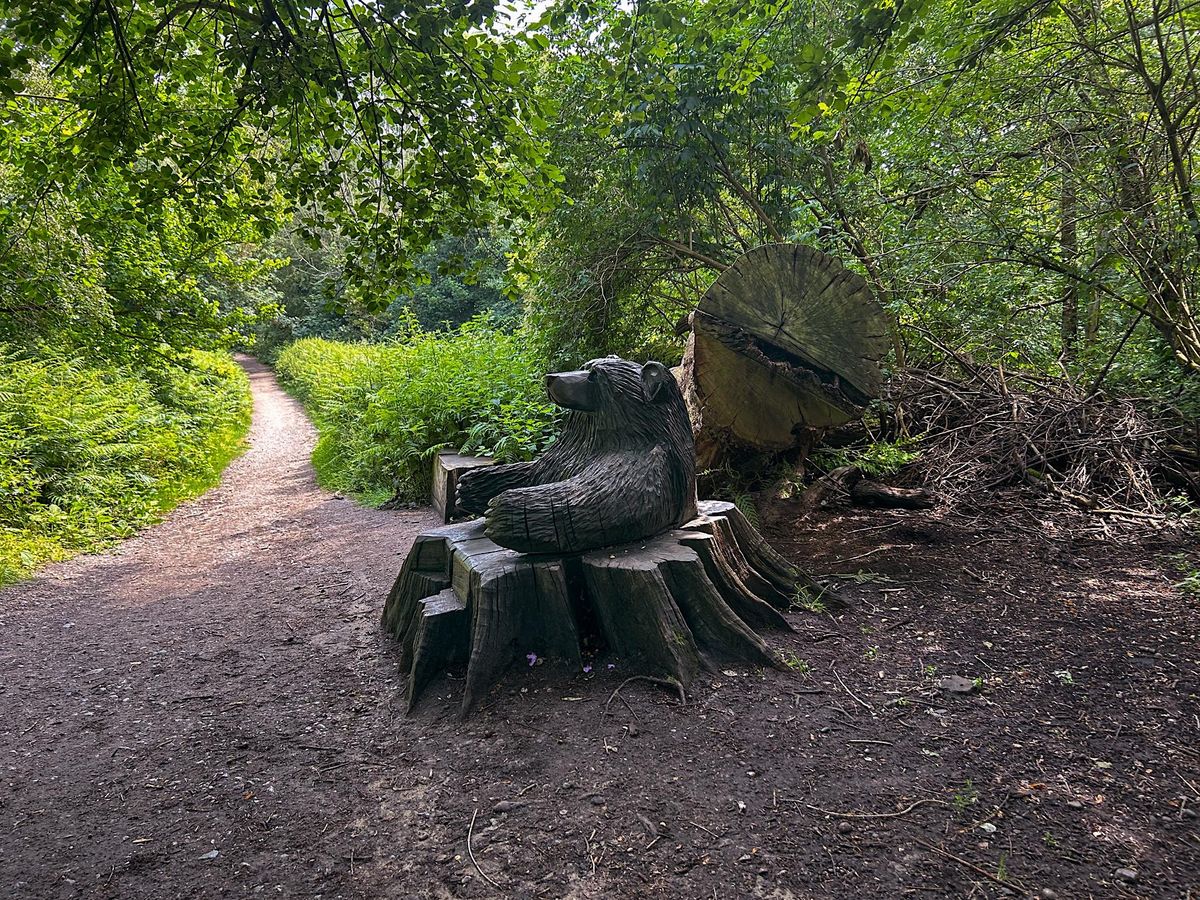 Petts Wood Wandering Day Hike Spectacular Sunday, Petts Wood Station