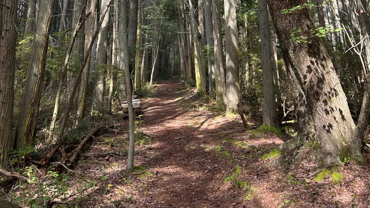 Batona and 1808 Loop, 3 December | Event in Hammonton | AllEvents