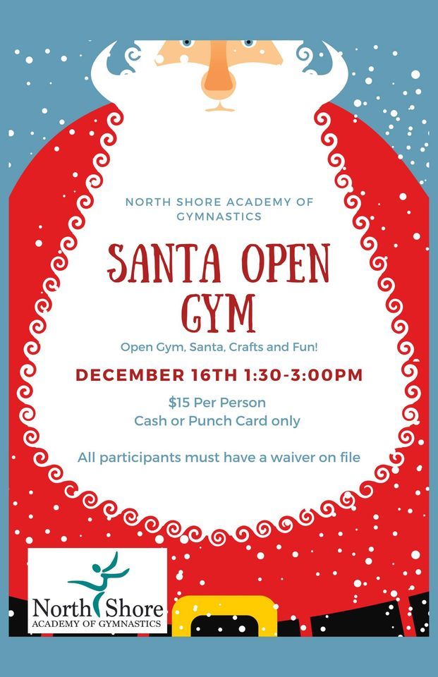 santa-open-gym-north-shore-academy-of-gymnastics-cedarburg-16