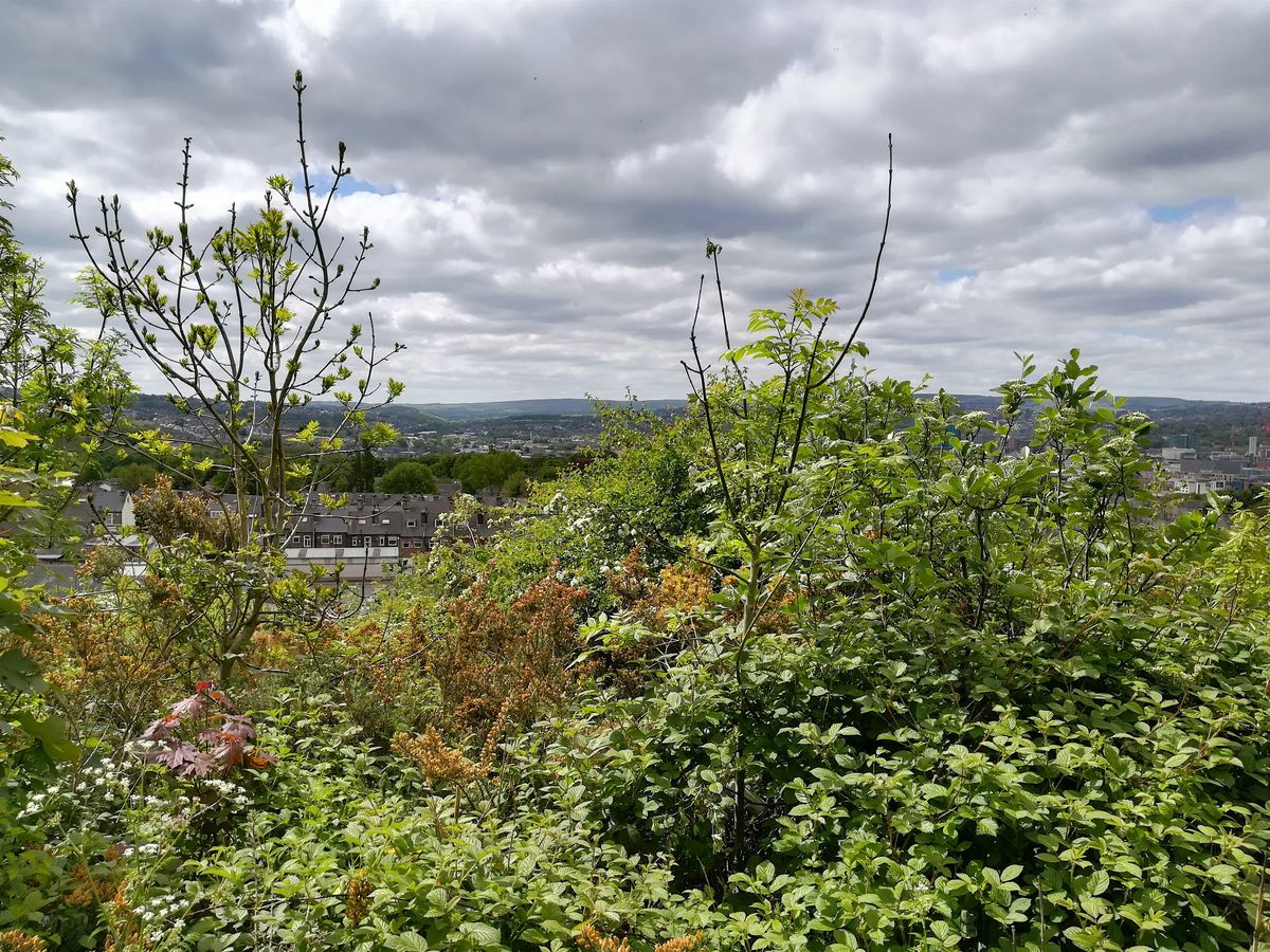 Standing at Skye Edge Nature Writing and Walk, Waterstones