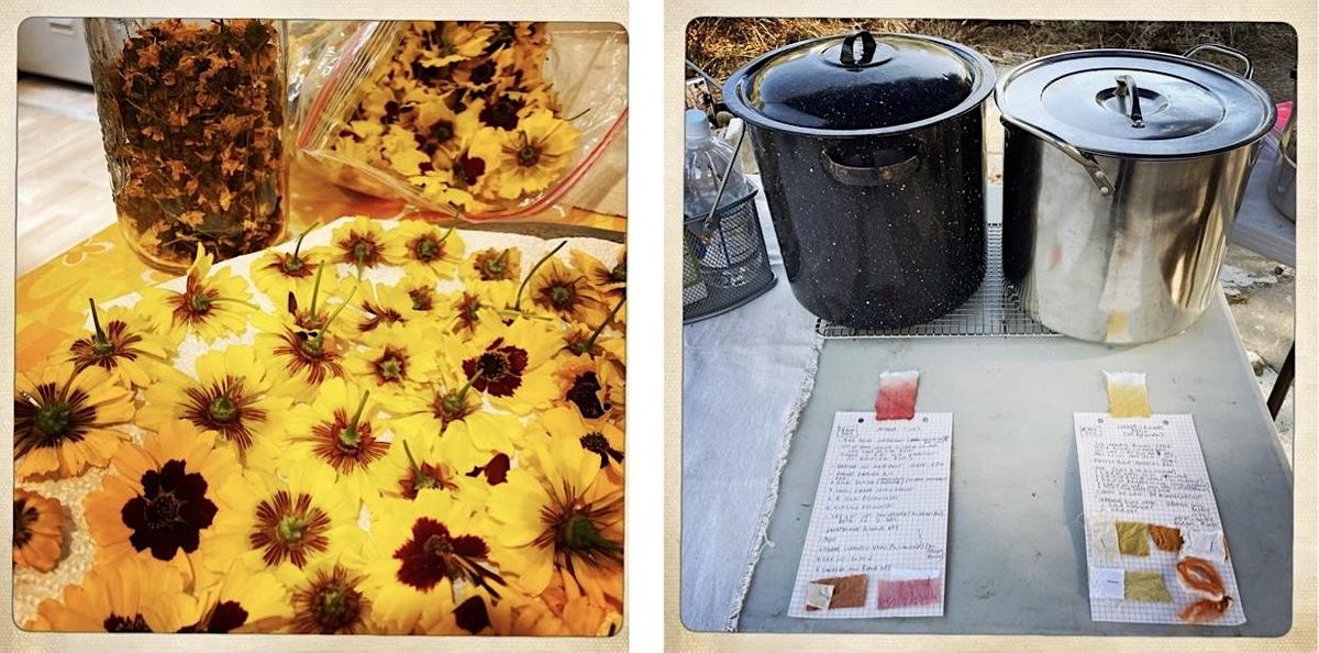 Natural Dyes The Farmscape as Color Wonderland, Alemany Farm, San