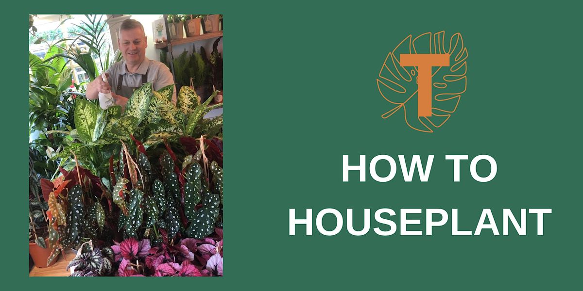 How to Houseplant, 2 Manchester Rd, Wilmslow, 27 September 2023