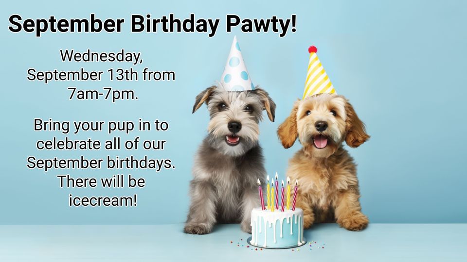 September Birthday Pawty!, Brier Creek Pet Hotel, Morrisville, 13