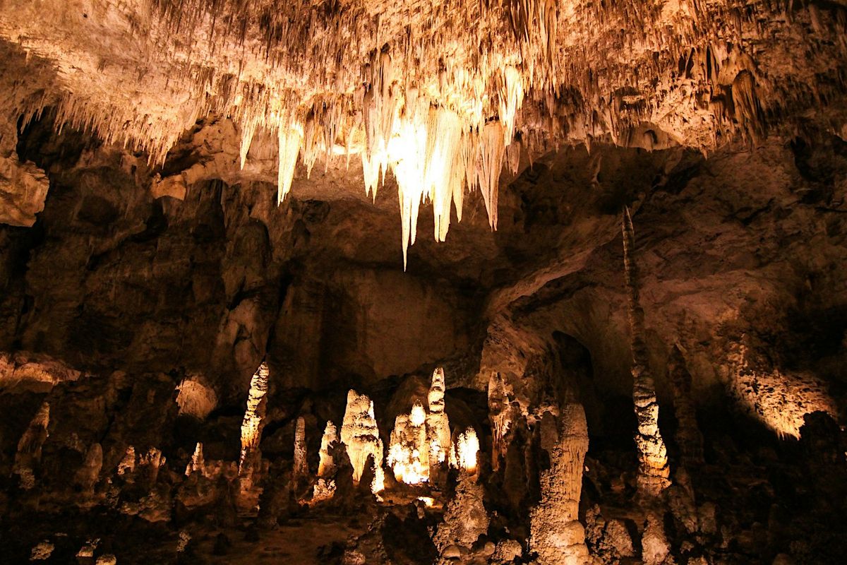 Carlsbad Caverns National Park Walking Audio Tour | Event in Eddy County | AllEvents
